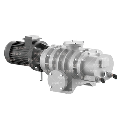 Roots vacuum pump