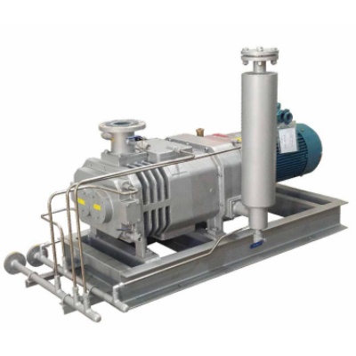 The dry screw vacuum pump
