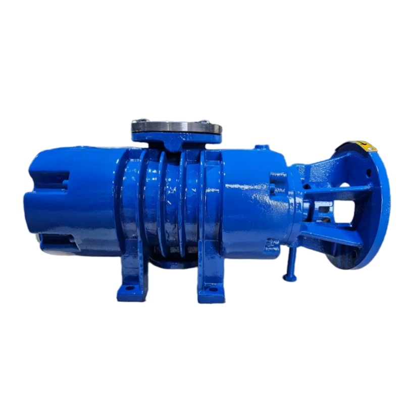 ZJ-70 Roots vacuum pump